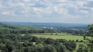 View Towards Weald from Selborne Common